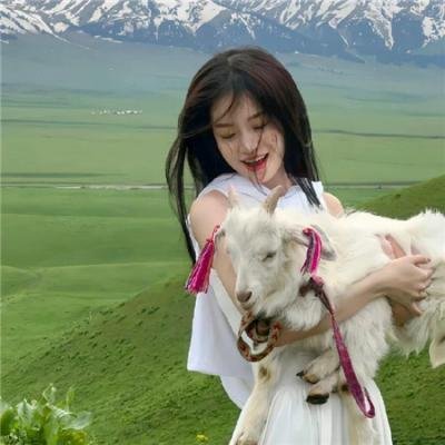 吸血鬼马上死第二季