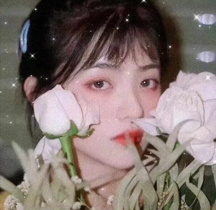 花季年华